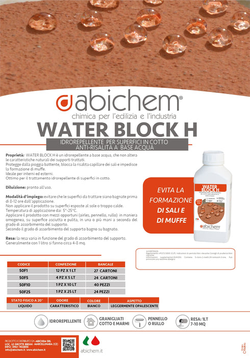 ANTIMACCHIA IDROREPELLENTE BASE ACQUA WATER BLOCK H ABICHEM 1 LT.